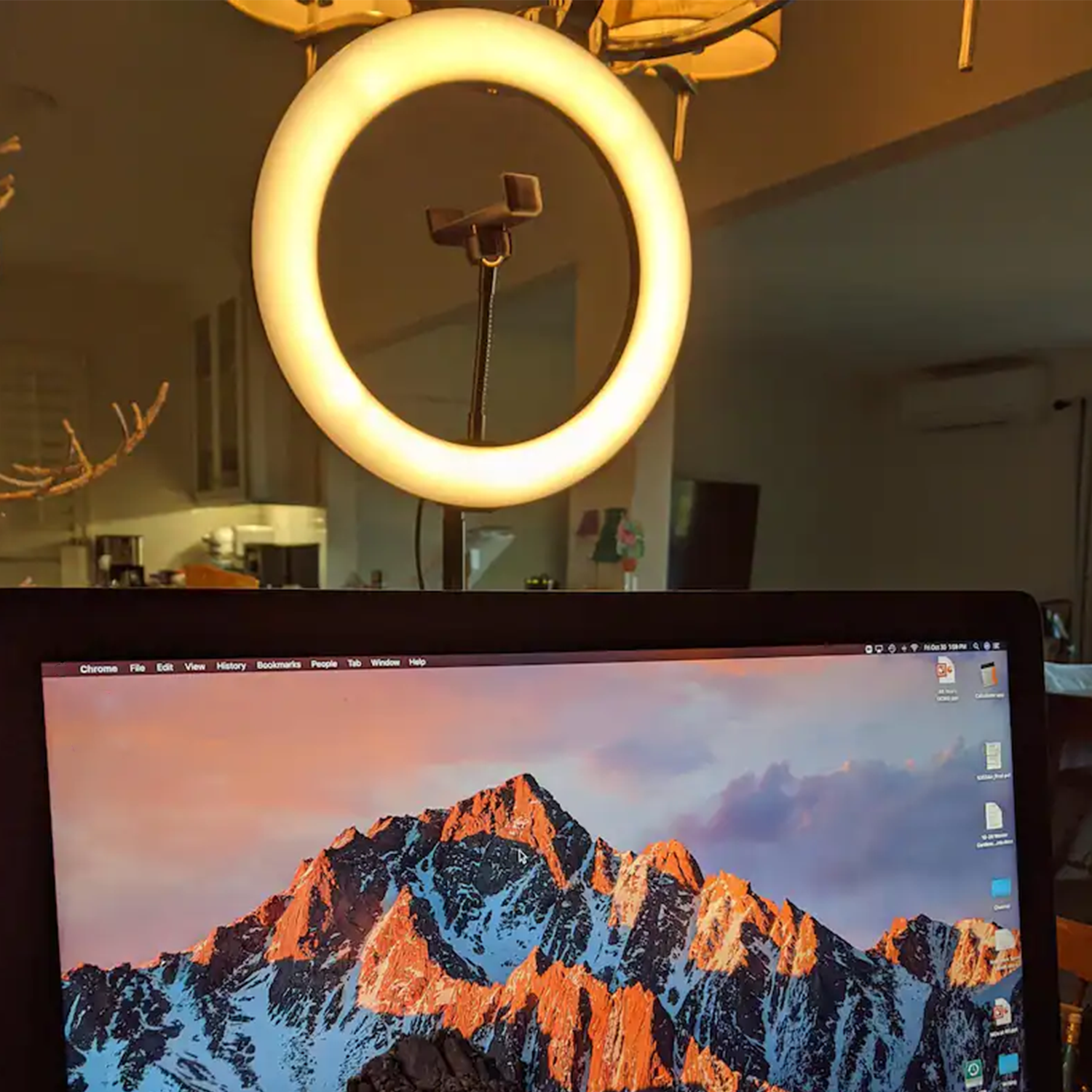 Collapsible Self-Contained LED Ring Light Vlogging Kit with Built-In Phone Mount, Compact Foldable Selfie Lighting Set